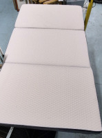 GoHome Folding Bed/Mattress 75 by 37" 4" Thick with Bag