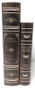 2 Great "Hidden Stash" Hardcover-Style Books : A Tale of Two Cities (9.75" Tall) & Robert Coles: The South Goes North (8" Tall) - 3