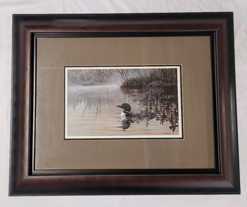 Canadian Artist Neil Blackwell " Loon on Lake " Signed & Framed Print . Measures 30 1/4"&times; 24 1/4"