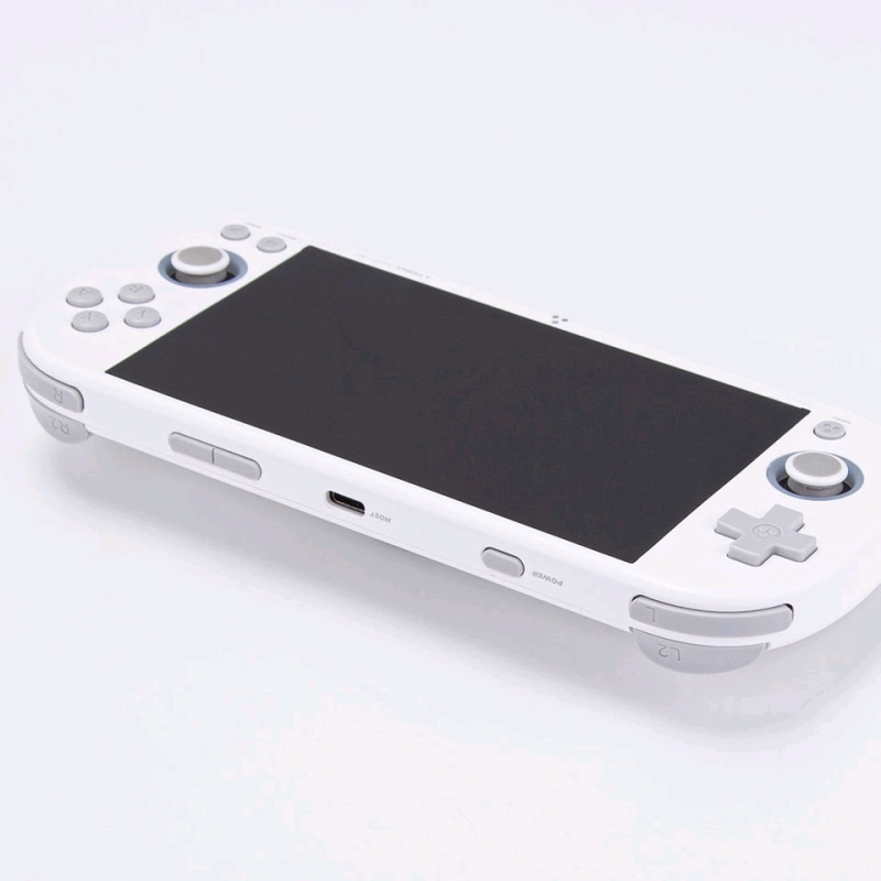 New TRIMUI Smart Pro Handheld Game Console TG5040 (Console Only) | Retails for Over $50!