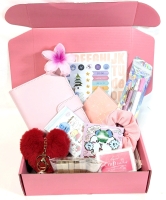 New LOVE WISD Pink Journal Kit Monthly Weekly Planner Notebook, Budget Binder & Accessories | Retails for Over $65!