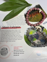 New FAHLO Pink Stone Red Wolf Passage Bracelet & Black Marbled Clear Stone Sloth Wander Bracelet | Track a Red Wolf & a Sloth!! | Retail Value of $50
