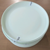 26 New: Plastic Plates - 10.5" Diameter