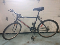 Supercycle 1200 Adult 12 Speed Hybrid Bicycle