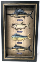 Large Framed 3D Fish Shadow Box | 13.5" x 1.75" x 22.5" Tall