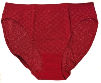 New Size XL VICTORIA'S SECRET Briefs Underwear (Sparkly!)
