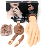 2 New Nail Art Trainers : Individual Finger Stand with 3 Fingers & 100 Nails & Whole Hand Mannequin with Clamp | Whole Hand 10.5" Long