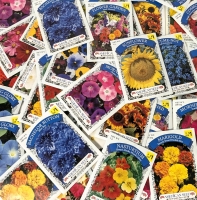 50 New Packs of Assorted Flower/Ornamental Plant Seeds | Sell By 12/2024, Good to Plant This Year