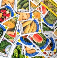 50 New Packs of Assorted Vegetable/Fruit/Edible Plant Seeds | Sell By 12/2024, Good to Plant This Year