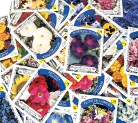 50 New Packs of Assorted Flower/Ornamental Plant Seeds | Sell By 12/2024, Good to Plant This Year