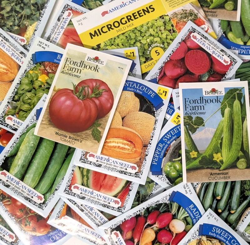 50 New Packs of Assorted Vegetable/Fruit/Edible Plant Seeds | Sell By 12/2024, Good to Plant This Year