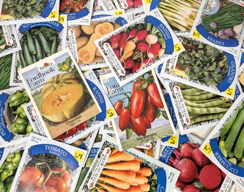 50 New Packs of Assorted Vegetable/Fruit/Edible Plant Seeds | Sell By 12/2024, Good to Plant This Year