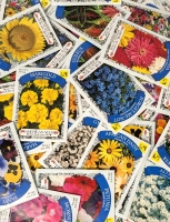 50 New Packs of Assorted Flower/Ornamental Plant Seeds | Sell By 12/2024, Good to Plant This Year