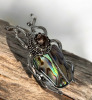Rhinestone Beetle Cab Enamel Pau Shell Style Brooch - 2