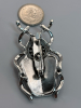 Rhinestone Beetle Cab Enamel Pau Shell Style Brooch - 3