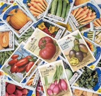50 New Packs of Vegetable & Flower Seeds | Sell By 12/2024, Good to Plant This Year