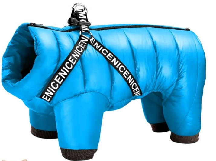 New | Didog Winter Small Dog Coat | Waterproof Jacket W/Harness & D Rings | * Retails $122.32 *