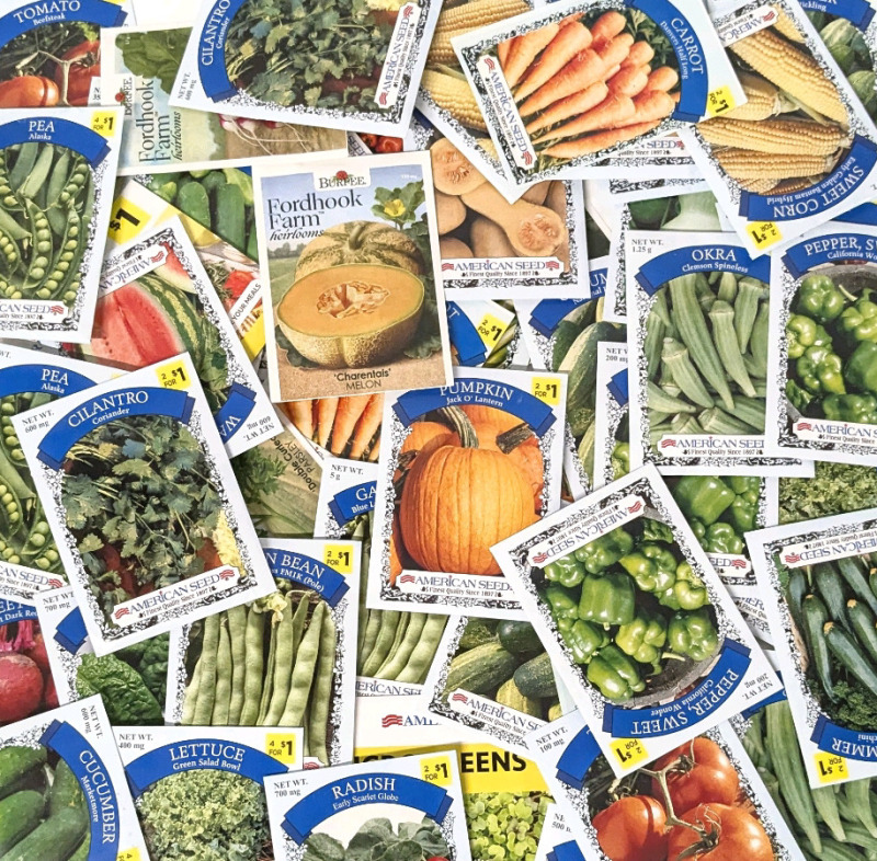 50 New Packs of Assorted Vegetable/Fruit/Edible Plant Seeds | Sell By 12/2024, Good to Plant This Year