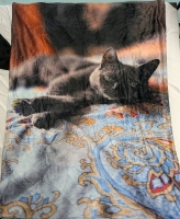 New Soft Cat Print Blanket. 37" x 61"