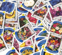 50 New Packs of Assorted Flower/Ornamental Plant Seeds | Sell By 12/2024, Good to Plant This Year