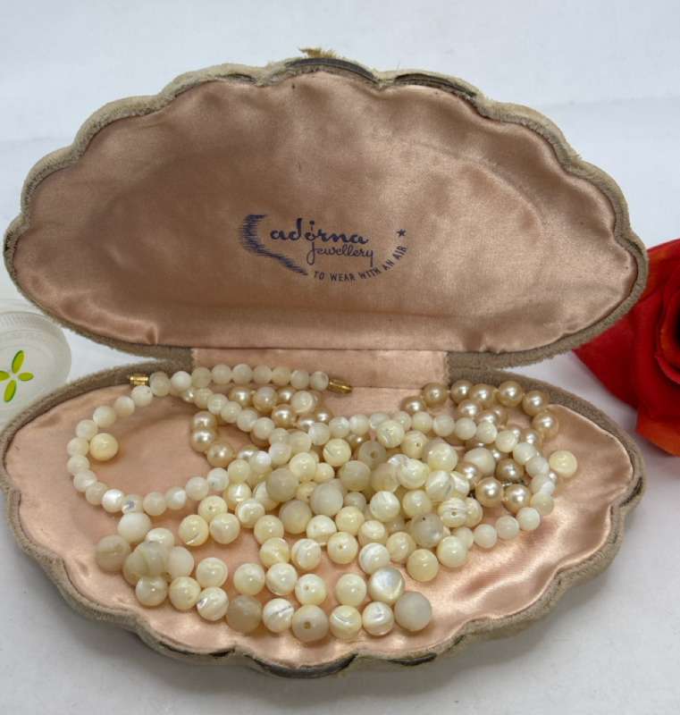 Vintage Adorna Clam Shell Case Mother of Pearl Necklace / 50 + MOP Beads / Knotted Pearl Necklace