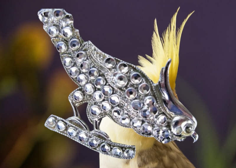 WWII Faux Marcasite Cockatiel Parrot Brooch Darling 1930 - 1940&rsquo;s