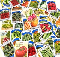 50 New Packs of Assorted Vegetable/Fruit/Edible Plant Seeds | Sell By 12/2024, Good to Plant This Year