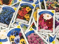 50 New Packs of Assorted Flower/Ornamental Plant Seeds | Sell By 12/2024, Good to Plant This Year