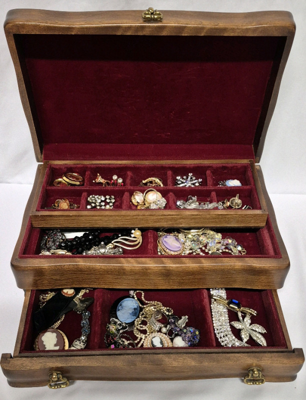 Fantastic Jewelry in Vintage Jasco Canada Jewelry Box Bling Bling