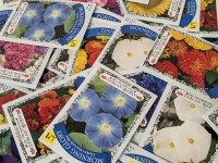 50 New Packs of Assorted Flower/Ornamental Plant Seeds | Sell By 12/2024, Good to Plant This Year