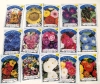 50 New Packs of Assorted Flower/Ornamental Plant Seeds | Sell By 12/2024, Good to Plant This Year - 2