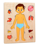 New | Internal Organs Learning Puzzle for Ages 3+