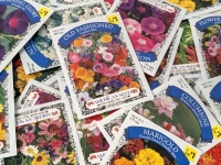 50 New Packs of Assorted Flower/Ornamental Plant Seeds | Sell By 12/2024, Good to Plant This Year