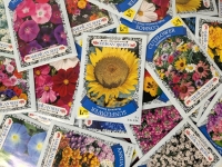 50 New Packs of Assorted Flower/Ornamental Plant Seeds | Sell By 12/2024, Good to Plant This Year