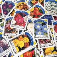 60 New Packs of Assorted Flower/Ornamental Plant Seeds | Sell By 12/2024, Good to Plant This Year