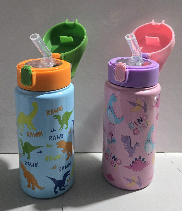 2 New | 430mL Kids Metal Water Bottles Dino Themed