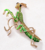 Unique Large Enamel Mantis Rhinestone Brooch 3.5 x 2 Inch - 2