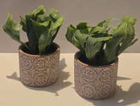 2 New | Faux Plants W/ Pots 7" Tall