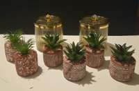 8 New | Bathroom Decor / Accessories | Includes 6 Faux Plants & 2 Bathroom Beauty & Spa Organizors