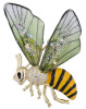 Elegant Bee Brooch Transparent Wings Crystal Inlay. 1.65 x 1.25 inch - 3