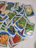 50 New Vegetable Seed Packs . Carrot , Beet , Basil , Squash , Radish , Chives plus more . Sell By 12/24 Stamp on Packs - 4