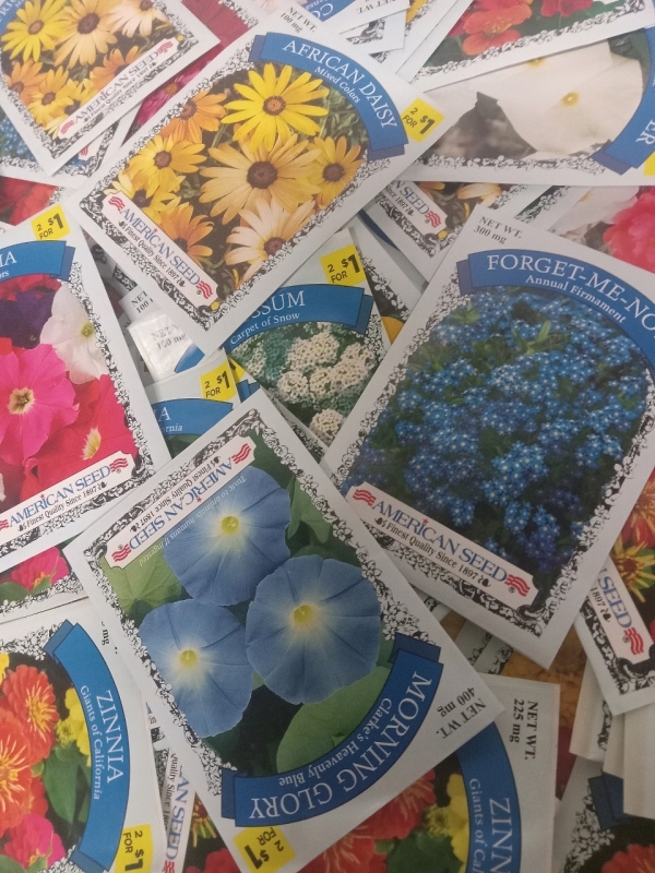 50 New | Flower Seeds Variety | See Pictures