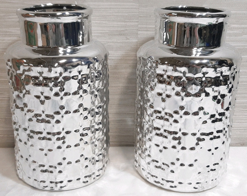2 Large Modern Flower Vases (9&frac12;" Tall, 5" Wide)