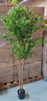 New - NaFresh 6ft. Potted Artificial Ficus Tree . Realistic Texture Potted Faux Ficus Tree