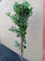 As New | Beautiful 7ft Tall Artificial Ficus Tree