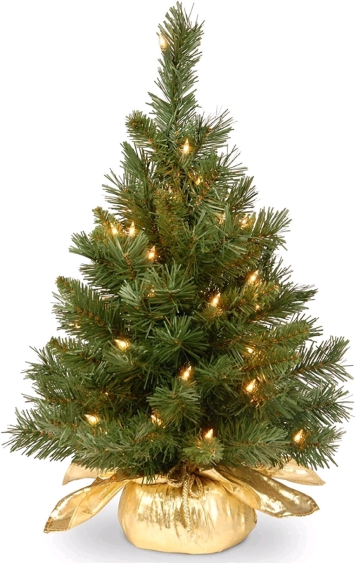 New National Tree Company 24 Inch Majestic Fir Tree with 35 Clear Lights in Gold Cloth Bag (MJ3-24GDLO-1) | Retails $60+