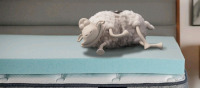 New | Serta Twin XL Memory Foam Matress Topper