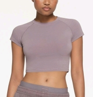 New Size XS Women's SKIMS Limited Edition Cropped Raglan T-Shirt : Zinc | Retails $80!