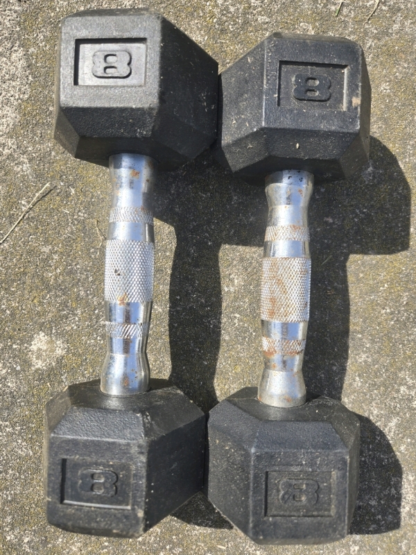 2 | 8Lbs Hex Dumbells
