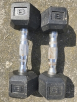 2 | 8Lbs Hex Dumbells